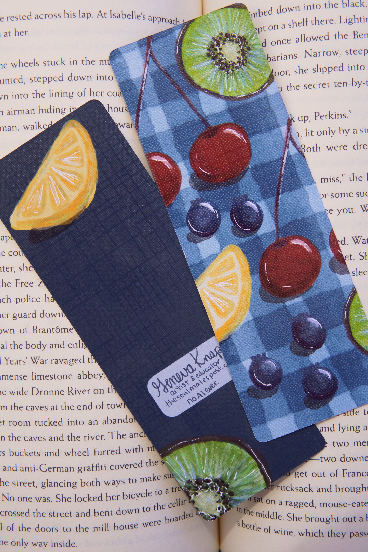 Blue Fruit Picnic Bookmark